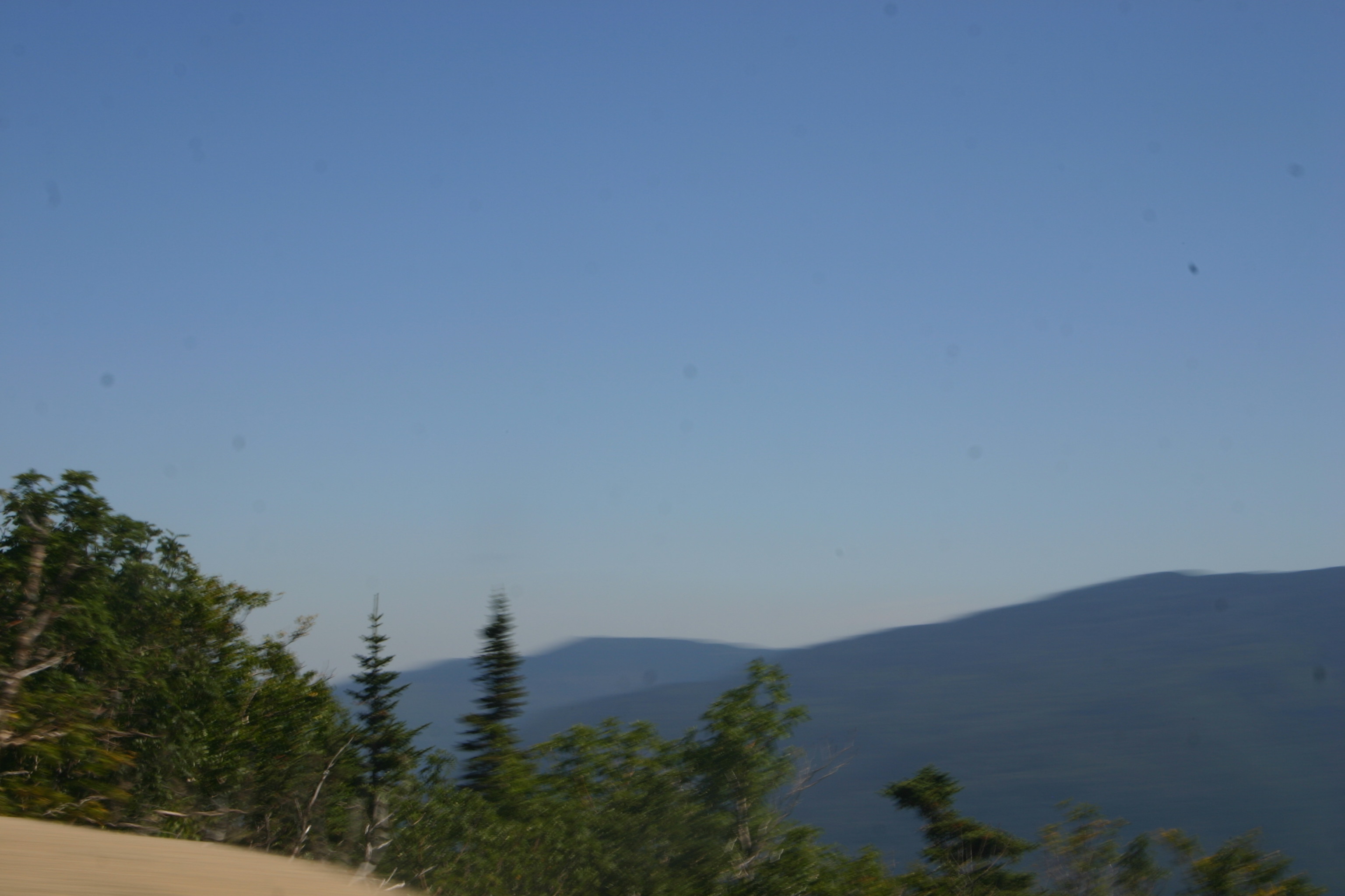 picture 11.